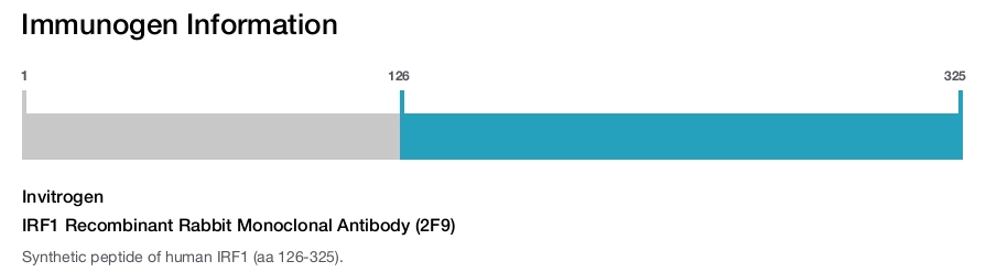 IRF1 Recombinant Rabbit Monoclonal Antibody (2F9)