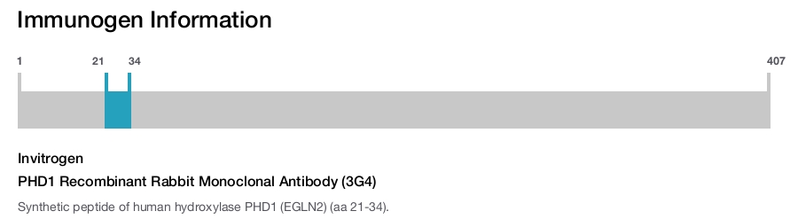 PHD1 Recombinant Rabbit Monoclonal Antibody (3G4)