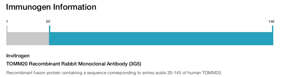 TOMM20 Recombinant Rabbit Monoclonal Antibody (3G5)