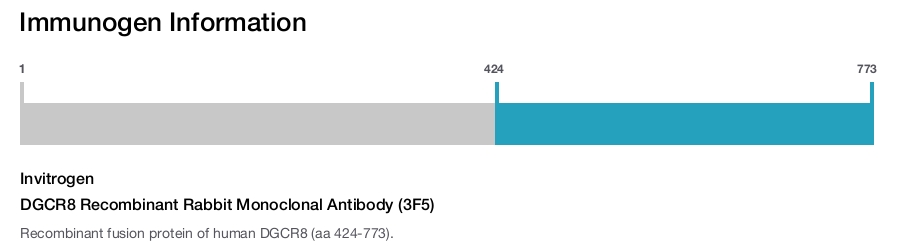 DGCR8 Recombinant Rabbit Monoclonal Antibody (3F5)