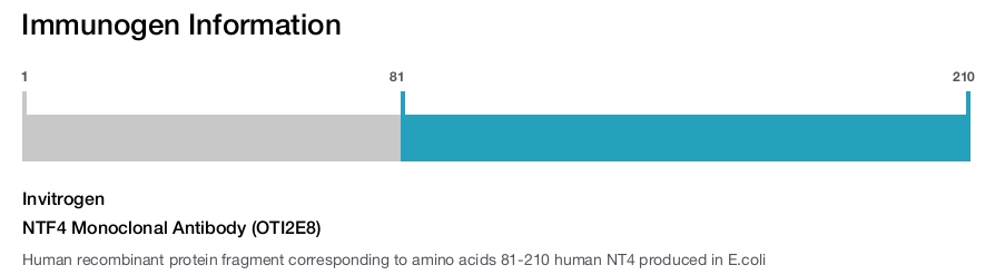 NTF4 Monoclonal Antibody (OTI2E8)