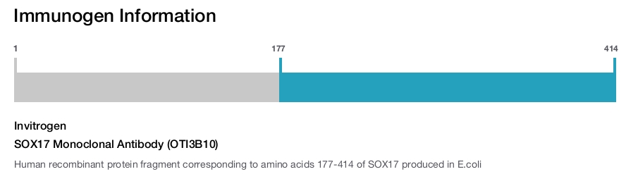 SOX17 Monoclonal Antibody (OTI3B10)