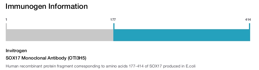 SOX17 Monoclonal Antibody (OTI3H5)