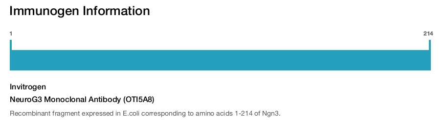 NeuroG3 Monoclonal Antibody (OTI5A8)