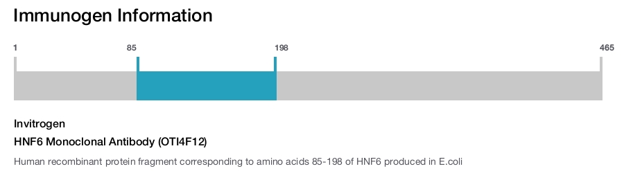 HNF6 Monoclonal Antibody (OTI4F12)