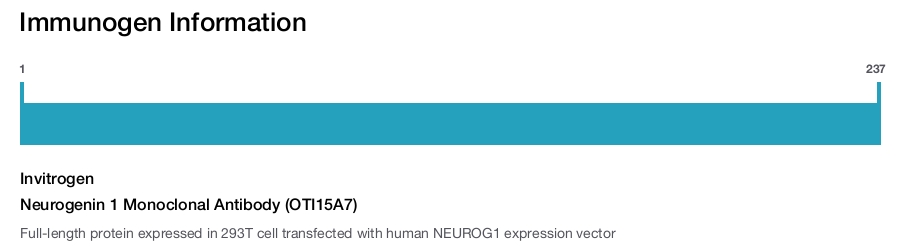 Neurogenin 1 Monoclonal Antibody (OTI15A7)