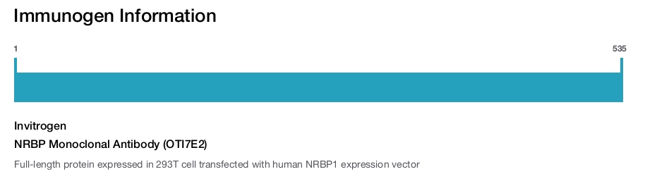 NRBP Monoclonal Antibody (OTI7E2)