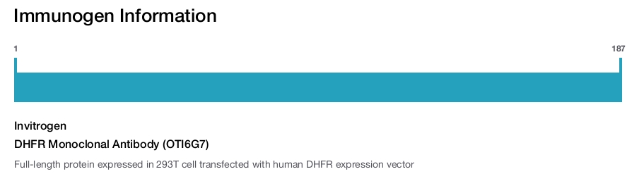 DHFR Monoclonal Antibody (OTI6G7)