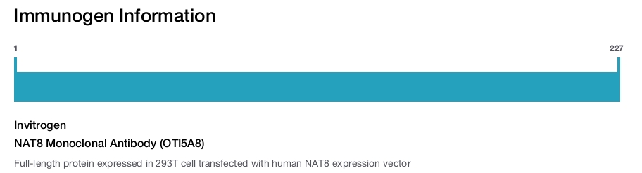 NAT8 Monoclonal Antibody (OTI5A8)