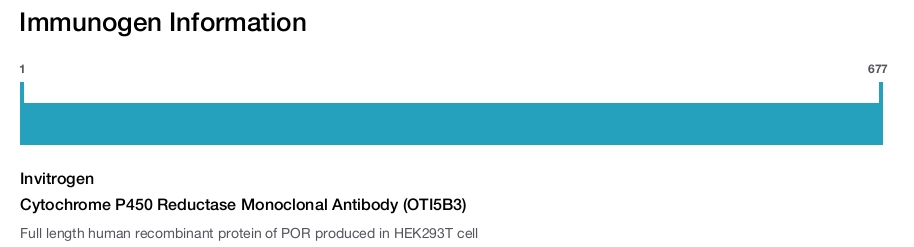 Cytochrome P450 Reductase Monoclonal Antibody (OTI5B3)