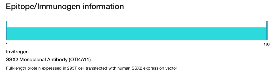 SSX2 Monoclonal Antibody (OTI4A11)