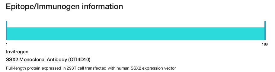 SSX2 Monoclonal Antibody (OTI4D10)