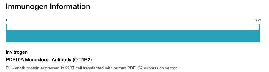 PDE10A Monoclonal Antibody (OTI1B2)