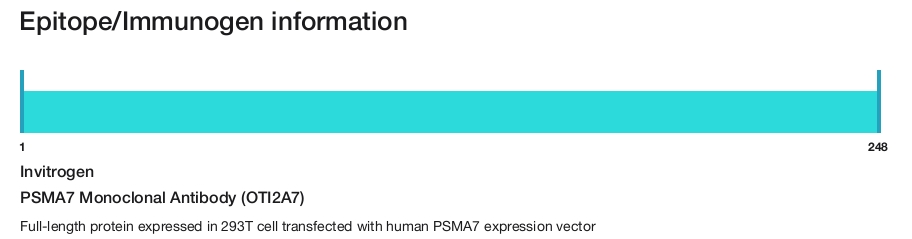 PSMA7 Monoclonal Antibody (OTI2A7)