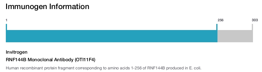 RNF144B Monoclonal Antibody (OTI11F4)