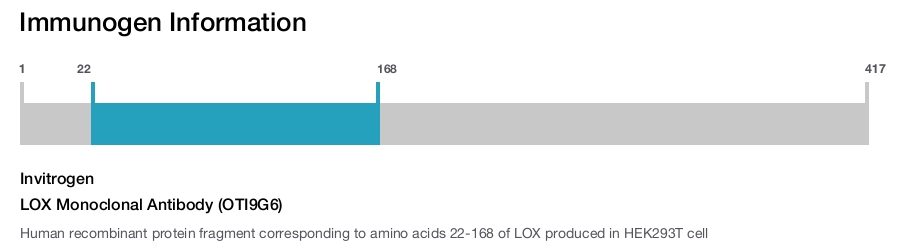 LOX Monoclonal Antibody (OTI9G6)