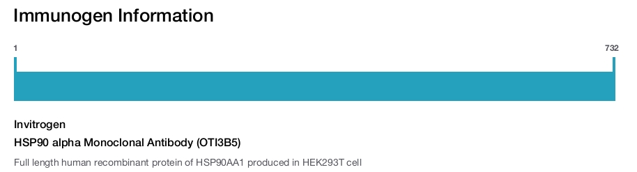 HSP90 alpha Monoclonal Antibody (OTI3B5)