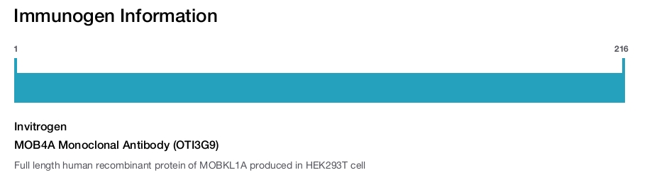 MOB4A Monoclonal Antibody (OTI3G9)