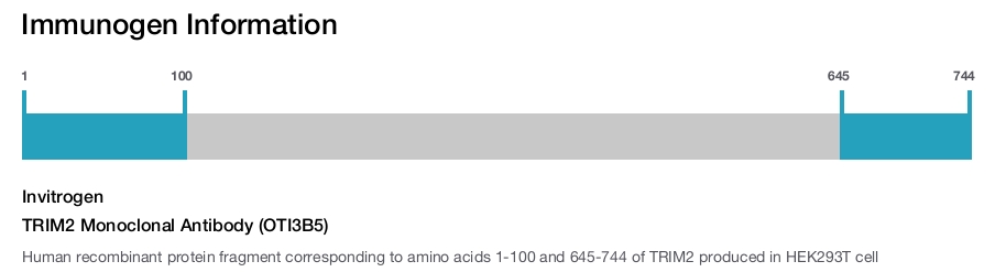 TRIM2 Monoclonal Antibody (OTI3B5)