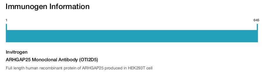 ARHGAP25 Monoclonal Antibody (OTI2D5)