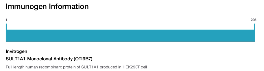 SULT1A1 Monoclonal Antibody (OTI9B7)