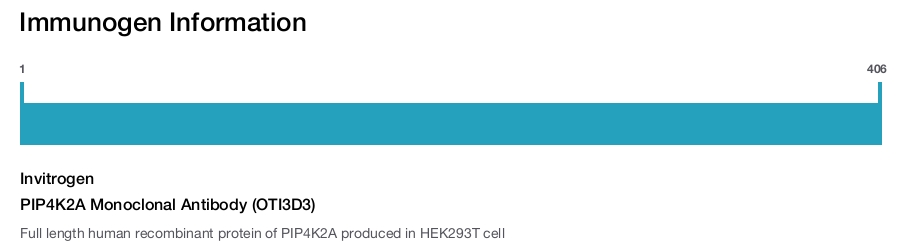 PIP4K2A Monoclonal Antibody (OTI3D3)