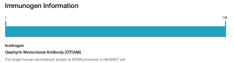 Gephyrin Monoclonal Antibody (OTI3A6)