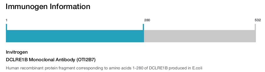 DCLRE1B Monoclonal Antibody (OTI2B7)