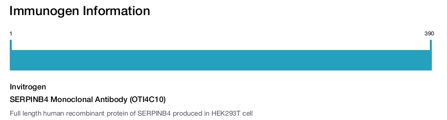 SERPINB4 Monoclonal Antibody (OTI4C10)