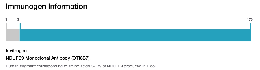 NDUFB9 Monoclonal Antibody (OTI8B7)