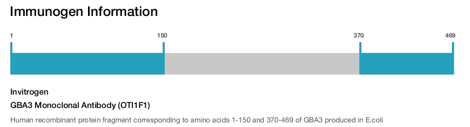 GBA3 Monoclonal Antibody (OTI1F1)
