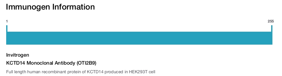 KCTD14 Monoclonal Antibody (OTI2B9)