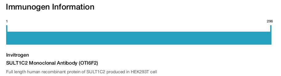 SULT1C2 Monoclonal Antibody (OTI6F2)