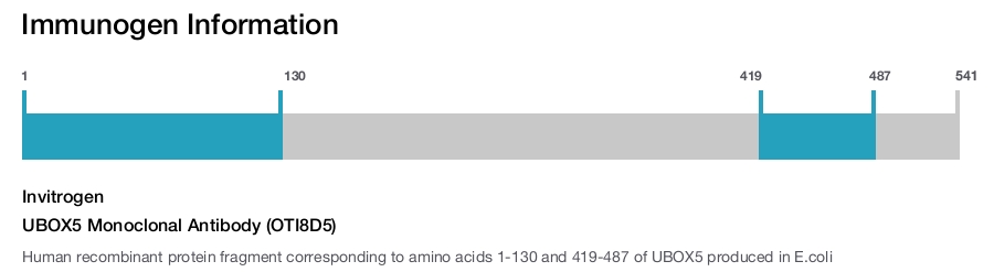 UBOX5 Monoclonal Antibody (OTI8D5)