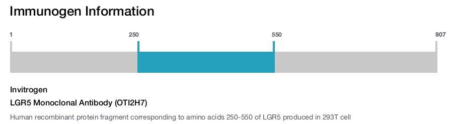LGR5 Monoclonal Antibody (OTI2H7)