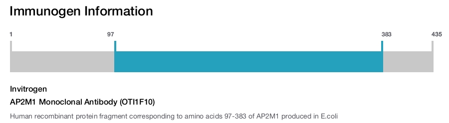 AP2M1 Monoclonal Antibody (OTI1F10)