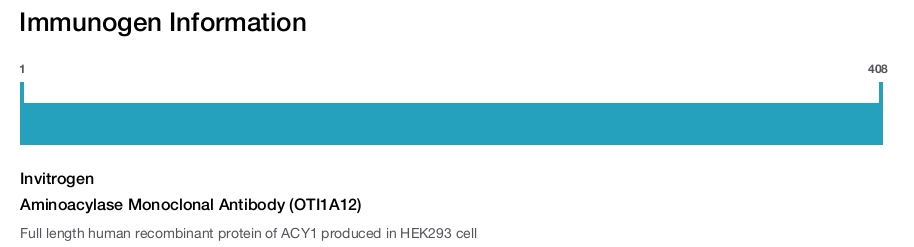Aminoacylase Monoclonal Antibody (OTI1A12)