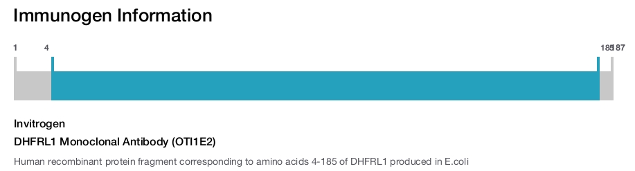DHFRL1 Monoclonal Antibody (OTI1E2)
