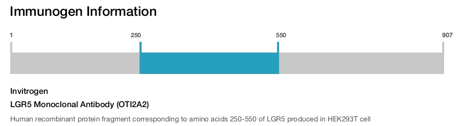 LGR5 Monoclonal Antibody (OTI2A2)