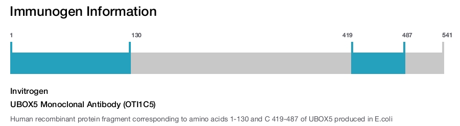 UBOX5 Monoclonal Antibody (OTI1C5)