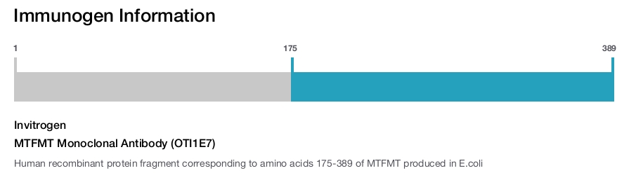 MTFMT Monoclonal Antibody (OTI1E7)