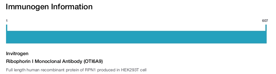 Ribophorin I Monoclonal Antibody (OTI6A9)