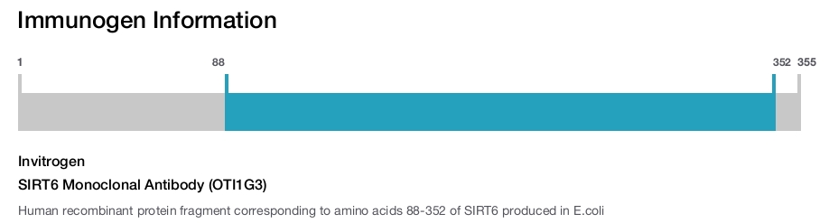 SIRT6 Monoclonal Antibody (OTI1G3)