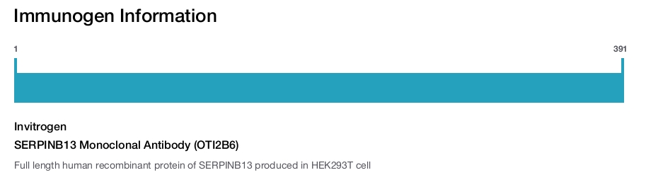 SERPINB13 Monoclonal Antibody (OTI2B6)