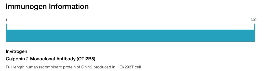 Calponin 2 Monoclonal Antibody (OTI2B5)