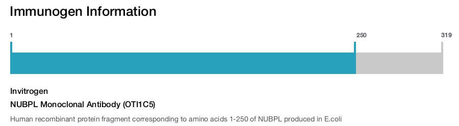 NUBPL Monoclonal Antibody (OTI1C5)