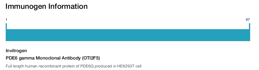 PDE6 gamma Monoclonal Antibody (OTI2F5)