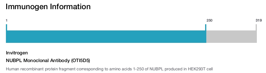 NUBPL Monoclonal Antibody (OTI5D5)
