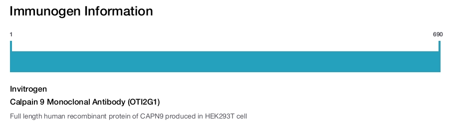 Calpain 9 Monoclonal Antibody (OTI2G1)
