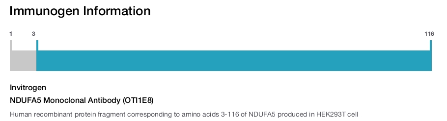 NDUFA5 Monoclonal Antibody (OTI1E8)